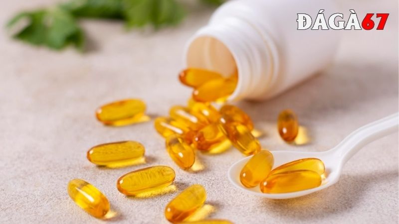 Một số loại thuốc tăng lực cho gà đá