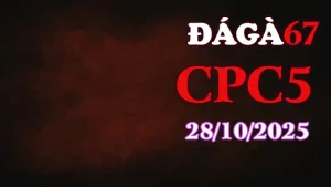 Clip gà chọi trực tiếp C5 full HD ngày 28/10/2025