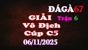 Đá Gà Giải C5: A.8 Tài Xỉu (0đ) vs A.CF789 B (3đ)