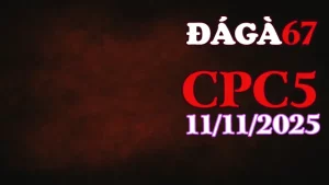 Xem Trực Tiếp Video Clip Đá Gà CPC5 Ngày 11/11/2025