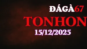 Tổng hợp trận đá gà Tonhon hôm nay 15122025