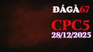 Xem clip đá gà Thomo CPC5 hôm nay 28122025