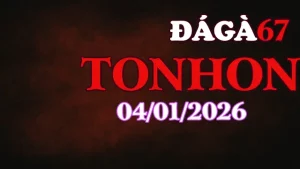 Clip Trực Tiếp Đá Gà Tonhon Hôm Nay 04012026 Mới Nhất