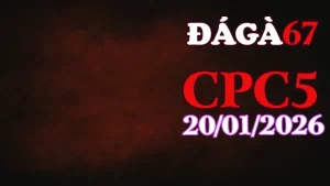 Video live đá gà CPC5 hôm nay 20012026