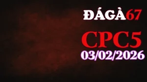 Link clip đá gà trực tiếp CPC5 hôm nay 03022026