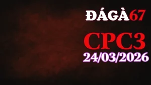 Clip Đá Gà CPC3 Thomo 24032026