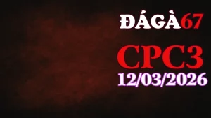 Tổng hợp clip đá gà trực tiếp CPC3 ngày 12032026 tại trường gà Thomo